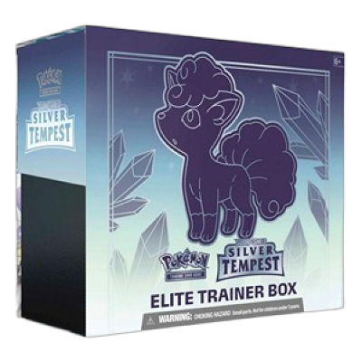 Elite Trainer Box Tempête Argentée